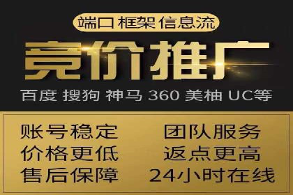 行业领先的SEM策略：成功案例与经验分享